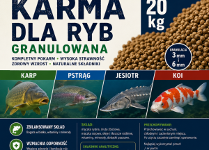 16 październik 2025